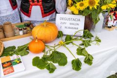 Na stole leży dynia, liście,  we flakonie kwiaty. Obok dyni tabliczka z namisem Degustacja zupy malon z rejbakami.
