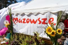 Logo marki Mazowsze na ścianie białego namiotu typu pawilon. Obok roślinność, bukiety ze słoneczników