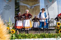Zespół w strojach ludowych występuje na scenie