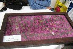 mkk_41_094-Kopia