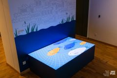 Film animowany o rzece Narew wyświetlony na poziomym ekranie wewnątrz sali wystawowej. Za poziomym ekranem, na ścianie, rysunek przedstawiający rzekę i zabudowania.