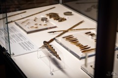 Zabytki archeologiczne w gablocie