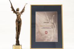 Statuetka oraz dyplom