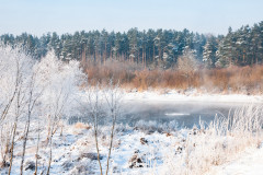 MKK_DSC_6166_1200