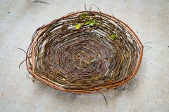MKK_DSC00063_1600