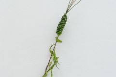 MKK_DSC09901_1600