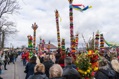 Procesja w Niedzielę Palmową, uczestnicy niosą wysokie palmy.