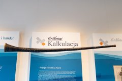 Plansze wystaw, wisząca przed planszami ligawa