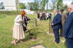 Uczestnicy uroczystości stoją przy alei bohaterów. Kobieta sadzi dąb.