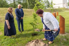 Kobieta sadzi dąb. Obok stoi inna kobieta i mężczyzna. Wokół zielony teren. W oddali fragment Pomnika Mauzoleum.