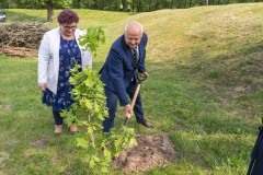 Mężczyzna sadzi dąb. Obok stoi kobieta. Wokół zielony teren.