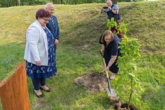 Kobieta sadzi dąb. Obok stoi inna kobieta i mężczyzna. Wokół zielony teren.  W tle mężczyzna robiący zdjęcie.