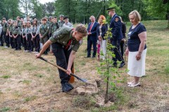 harcerz wkopuje sadzonkę dębu. W tle kilka innych osób oraz kilkanaście harcerzy i harcerek w dwuszeregu