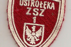 Tarcza szkolna