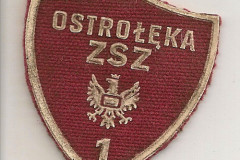 Tarcza szkolna