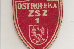 Tarcza szkolna