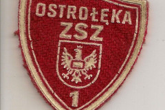 Tarcza szkolna