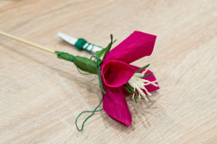 MKK_DSC02703_1200
