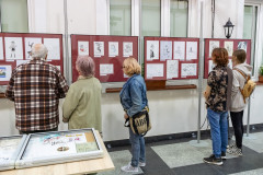 Uczestnicy wernisażu oglądają rysunki prezentowane na wystawie