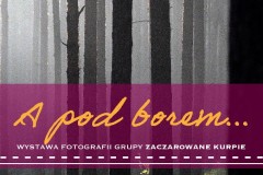 a_pod_borem_plakat