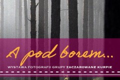 Plakat "A pod borem"