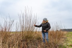 Kobieta stoi na łące pr y rosnącej wiklinie