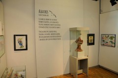 Albatros wystawa muzealna