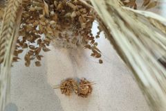 IMG_20250817_112703_1600