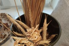 IMG_20250817_112718_1600