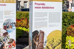 Fragment plenerowej wystawy planszowej