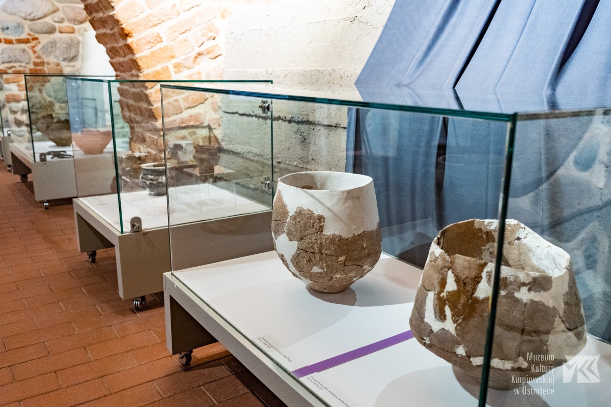 Wystawa starożytnej ceramiki w muzealnych piwnicach