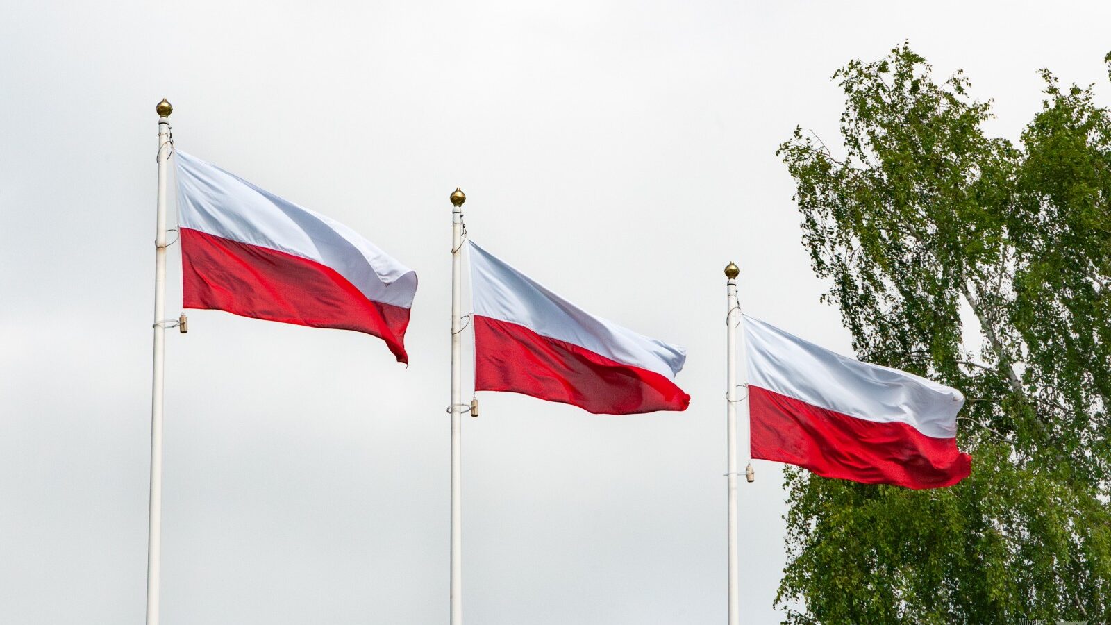 Trzy flagi Polski powiewające na masztach