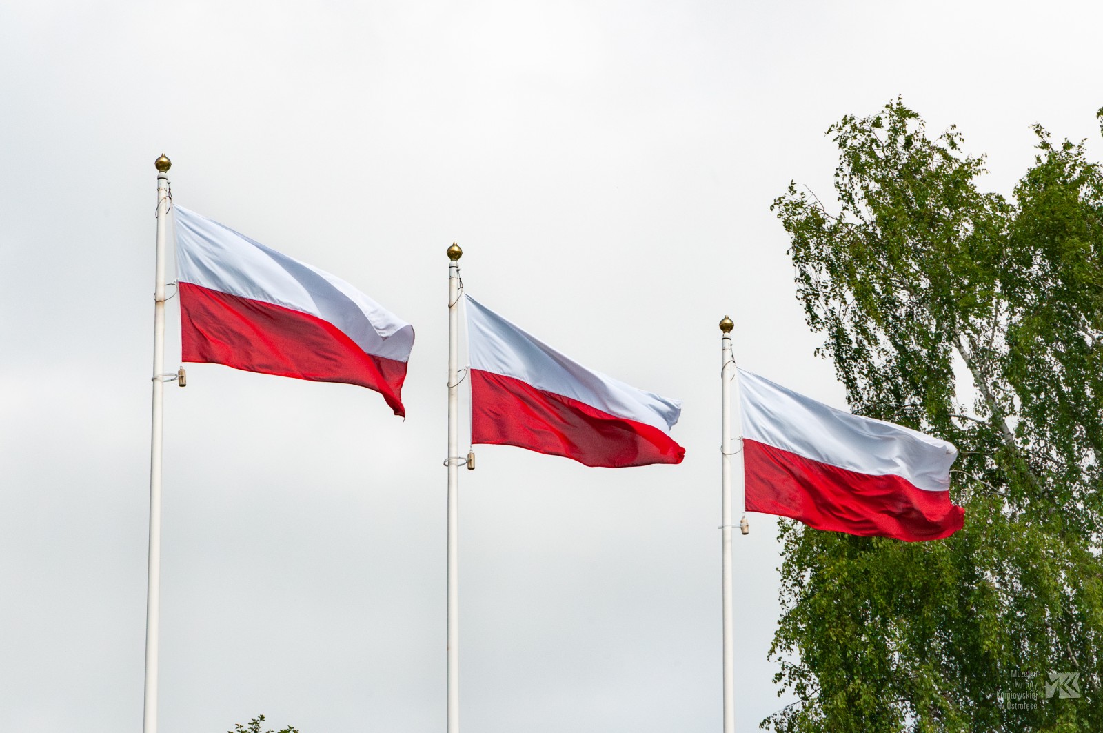 Trzy flagi Polski powiewające na masztach